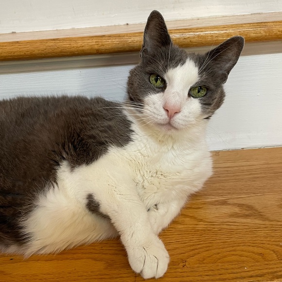 Meet your Posher, Lori - Picture 9 of 11